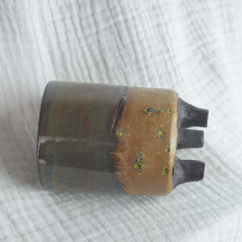 MOSS PHLOX - Image 2