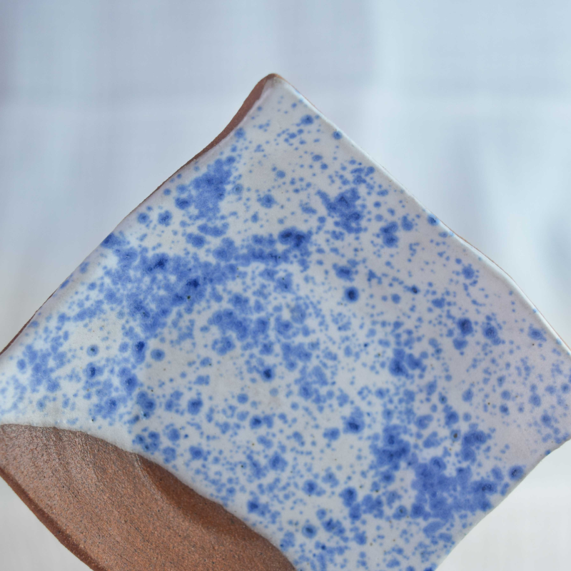 SKY CLAN SENTINEL - Image 4